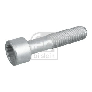 Kruvi, ajamivõlli äärik FEBI BILSTEIN 09455