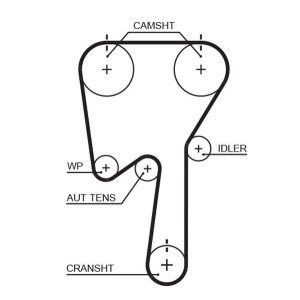 Hammasrihm GATES 5509XS