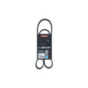 V-ribbed Belt KAMOKA 7016058