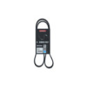 V-ribbed Belt KAMOKA 7016078