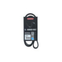 V-ribbed Belt KAMOKA 7016092