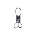 V-ribbed Belt KAMOKA 7016124