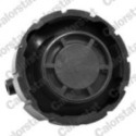 Cap, coolant tank CALORSTAT by Vernet RC0026