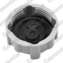 Cap, coolant tank CALORSTAT by Vernet RC0038