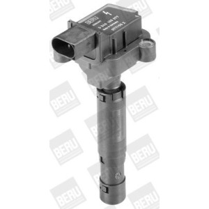 Sytytyspuola BorgWarner (BERU) ZS077