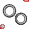 Wheel Bearing Kit ESEN SKV 85SKV105