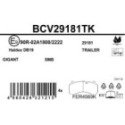 Jarrupala, levyjarru BERAL BCV29181TK