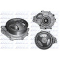Water Pump, engine cooling DOLZ E125