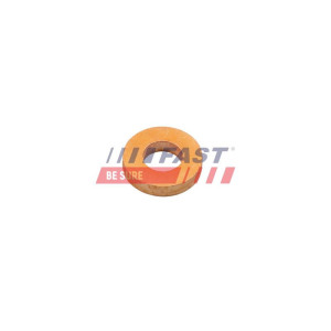 Heat Shield, injection system FAST FT47801