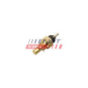 Andur,Jahutusvedeliku temp. FAST FT80130