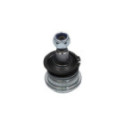 Шарнир независимой подвески / поворотного рычага Kavo Parts SBJ-5501