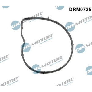 Gasket, water pump Dr.Motor Automotive DRM0725