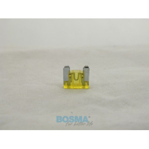 Fuse BOSMA 2195
