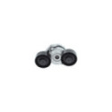 Belt Tensioner, V-ribbed belt BOSCH 1 987 600 348