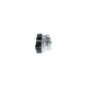 Belt Tensioner, V-ribbed belt BOSCH 1 987 600 348