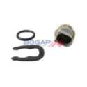 Sensor, coolant temperature BOGAP A4126107