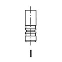 Exhaust Valve FRECCIA R6621/RCR