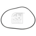 Seal Ring, wheel hub FEBI BILSTEIN 08008