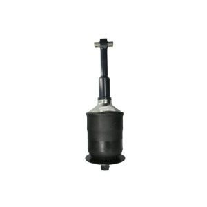 Shock Absorber Magnum Technology M0165