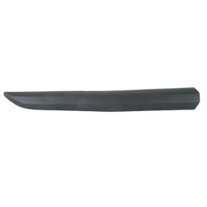 Trim/Protection Strip, door BLIC 5703-04-0559572P