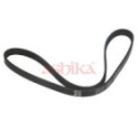 V-ribbed Belt ASHIKA 112-5PK1023
