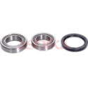 Wheel Bearing Kit ASHIKA 44-10060