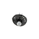Амортизатор Kavo Parts SSA-10574