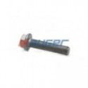 Screw AUGER 80230