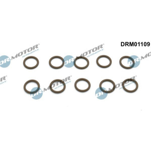 Remondikomplekt,kliimaseade Dr.Motor Automotive DRM01109