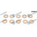 Heat Shield, injection system Dr.Motor Automotive DRMP30
