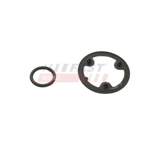 Seal Ring, oil cooler (lubrication) FAST FT48954