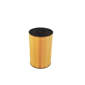 Õlifilter FILTRON OE 646/2