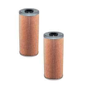 Öljynsuodatin FILTRON OM 513/1-2x