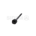 Sisemine rooliots,roolivarras SIDEM 21113