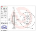 Brake Disc BREMBO 09.N256.31