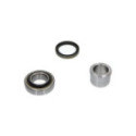 Комплект подшипника ступицы колеса Kavo Parts WBK-8533