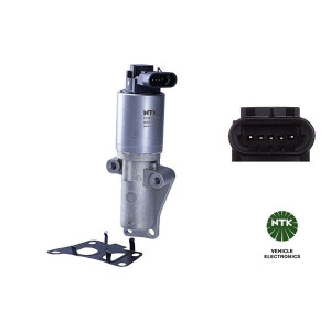 EGR Valve NGK 93255