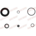 Repair Kit, brake caliper QUICK BRAKE 114-0010