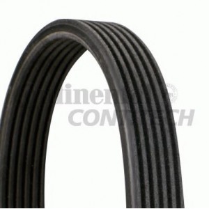 V-ribbed Belt DAYCO 6PKK1225