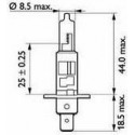 Polttimo H1 24V 70W P14.5S White SCT 202377